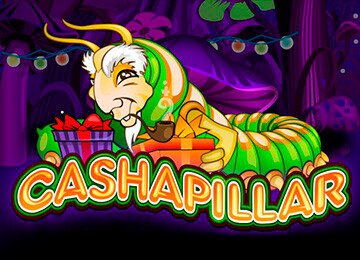 Cashapillar